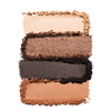 Estee Lauder Pure Color Envy Luxe Eyeshadow Quard očný tieň 6 g, 04 Desert Dunes