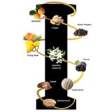 Lalique Noir Premier Fruits du Mouvement parfumovaná voda 100 ml