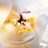 Dior - J&#039;adore Parfum D&#039;Eau - parfumovaná voda 100 ml