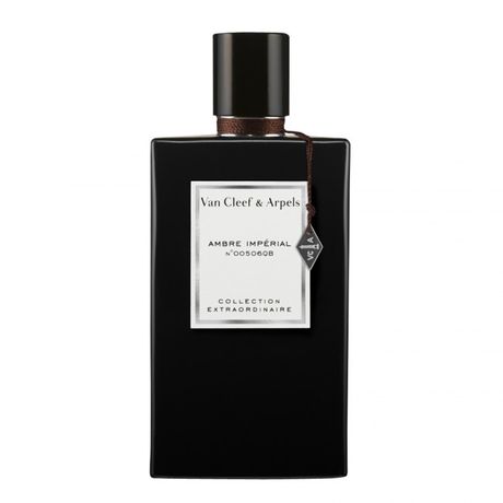 Van Cleef & Arpels Collection Extraordinaire Ambre Imperial parfumovaná voda 45 ml